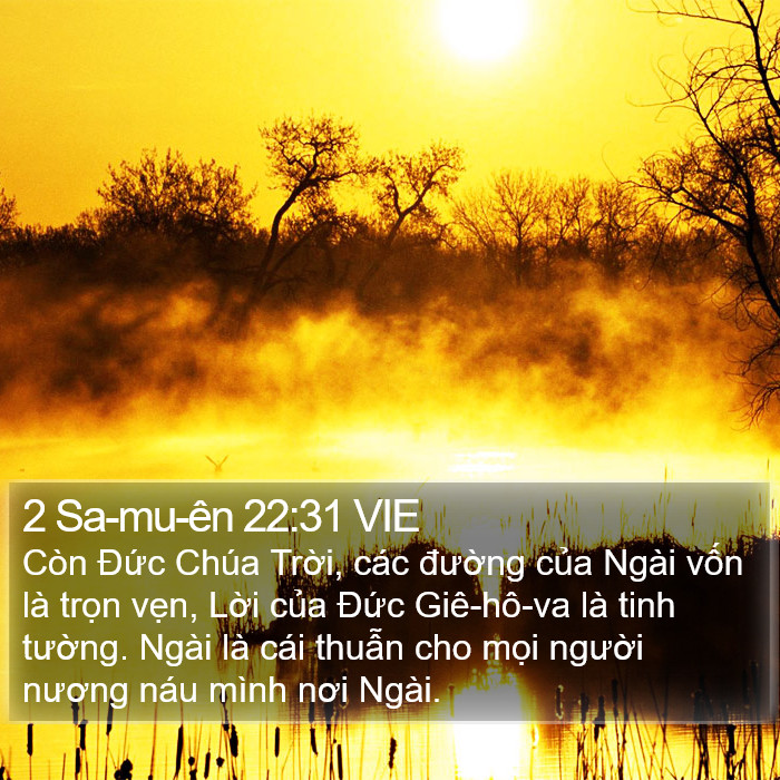 2 Sa-mu-ên 22:31 VIE Bible Study