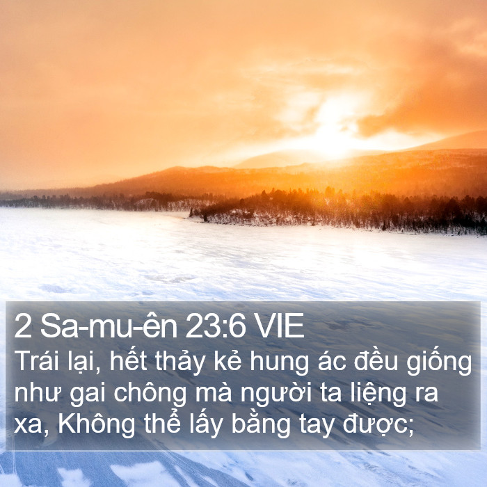 2 Sa-mu-ên 23:6 VIE Bible Study