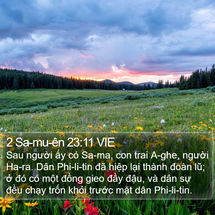 2 Sa-mu-ên 23:11 VIE Bible Study