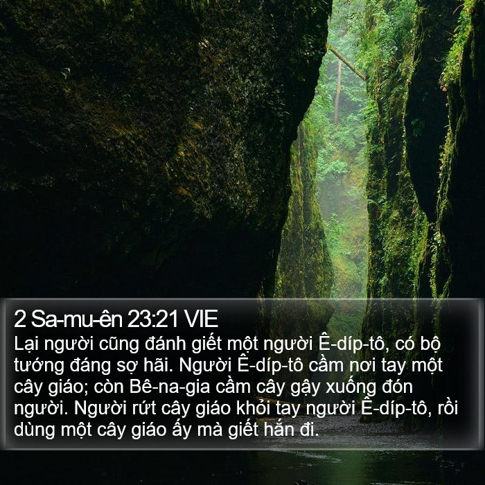 2 Sa-mu-ên 23:21 VIE Bible Study