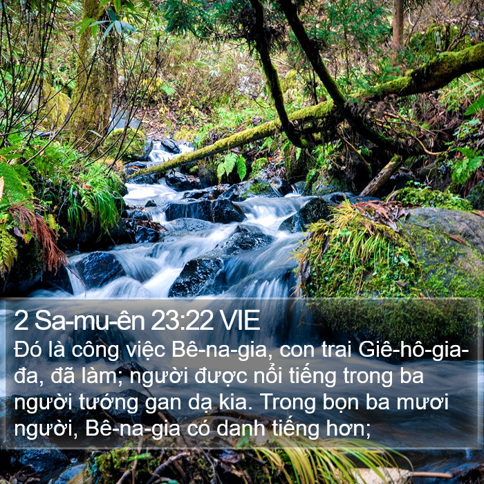 2 Sa-mu-ên 23:22 VIE Bible Study