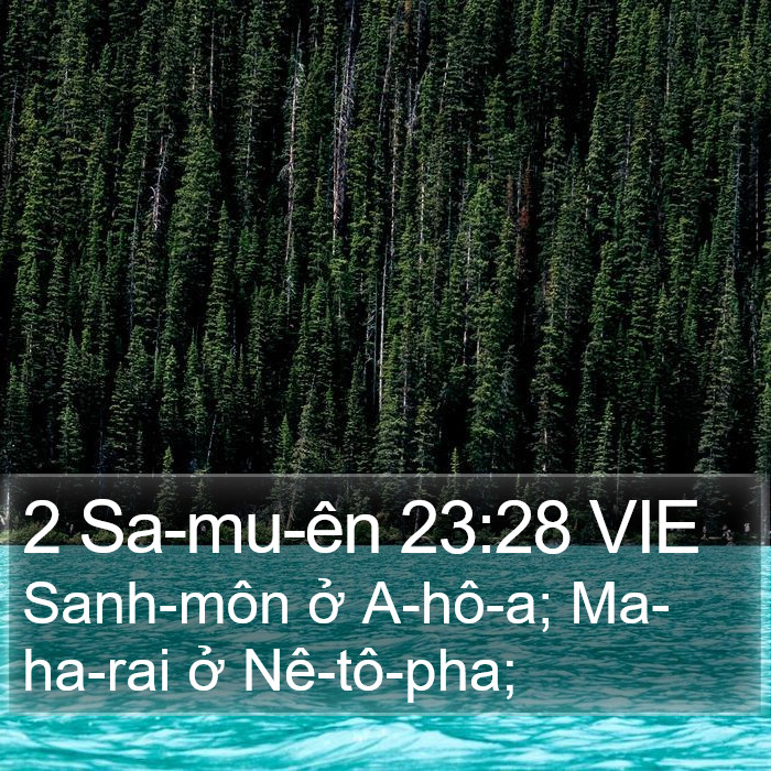 2 Sa-mu-ên 23:28 VIE Bible Study