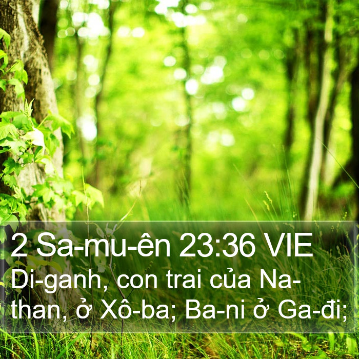 2 Sa-mu-ên 23:36 VIE Bible Study