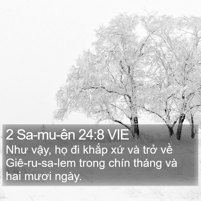 2 Sa-mu-ên 24:8 VIE Bible Study