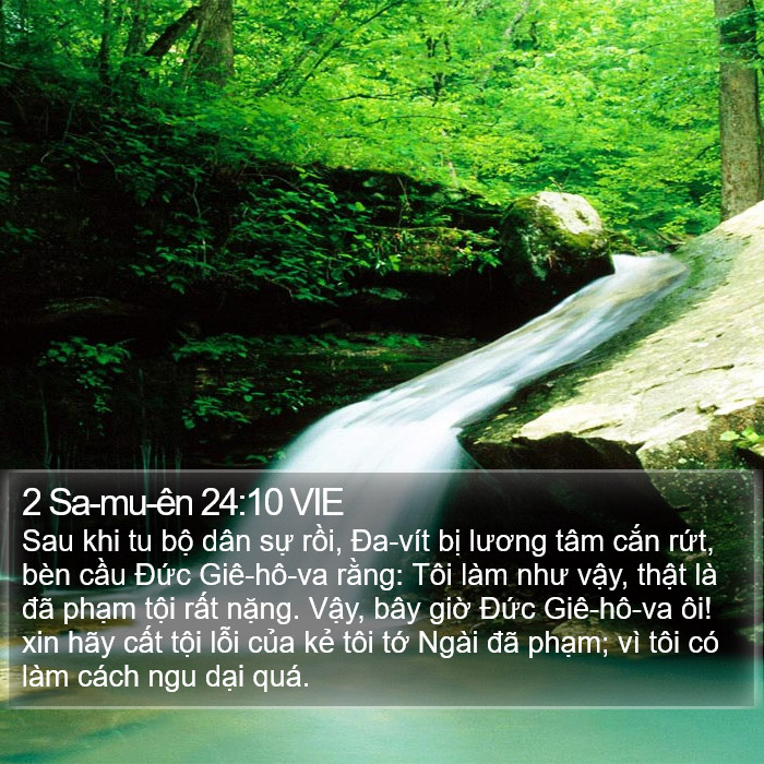 2 Sa-mu-ên 24:10 VIE Bible Study