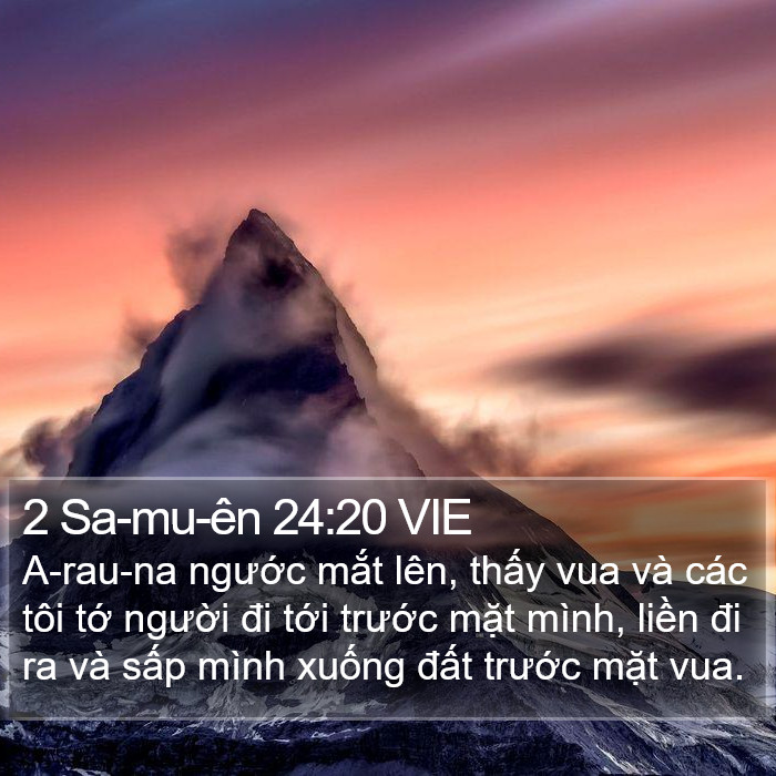 2 Sa-mu-ên 24:20 VIE Bible Study