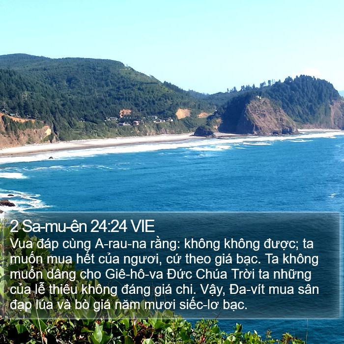 2 Sa-mu-ên 24:24 VIE Bible Study