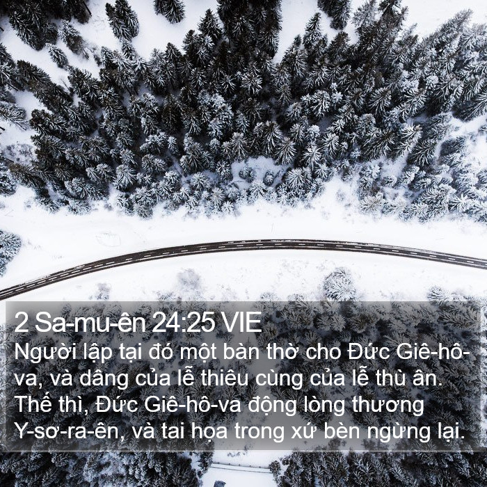 2 Sa-mu-ên 24:25 VIE Bible Study