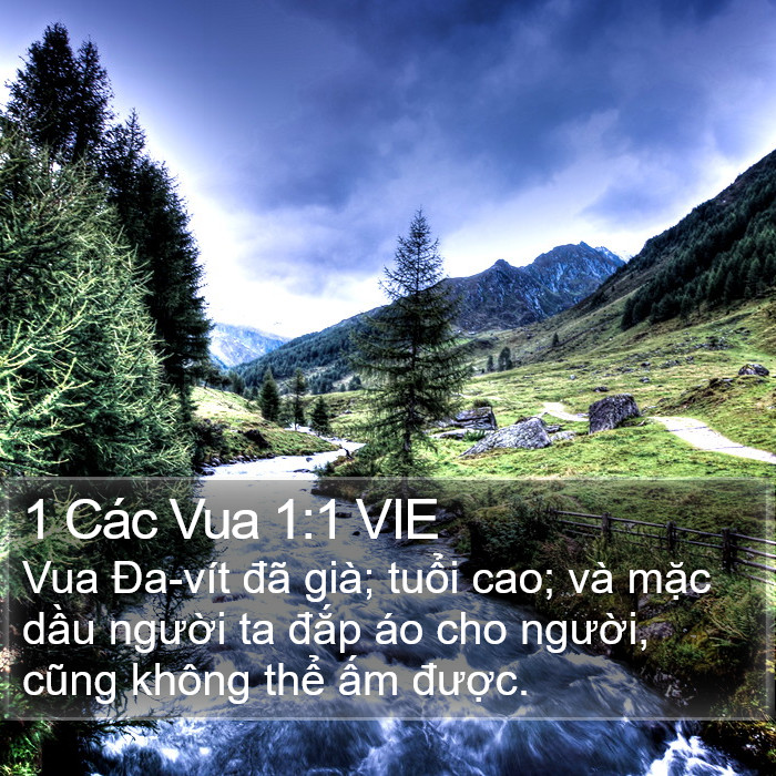 1 Các Vua 1:1 VIE Bible Study