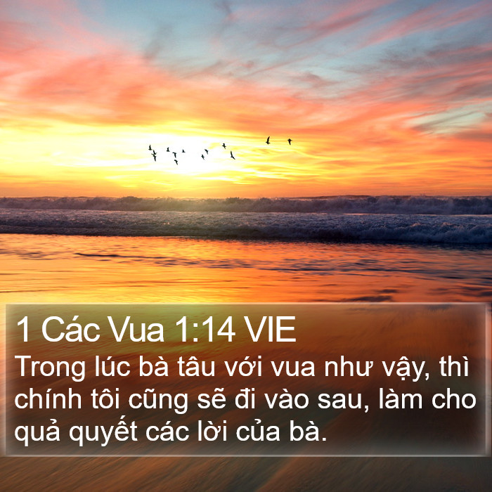 1 Các Vua 1:14 VIE Bible Study