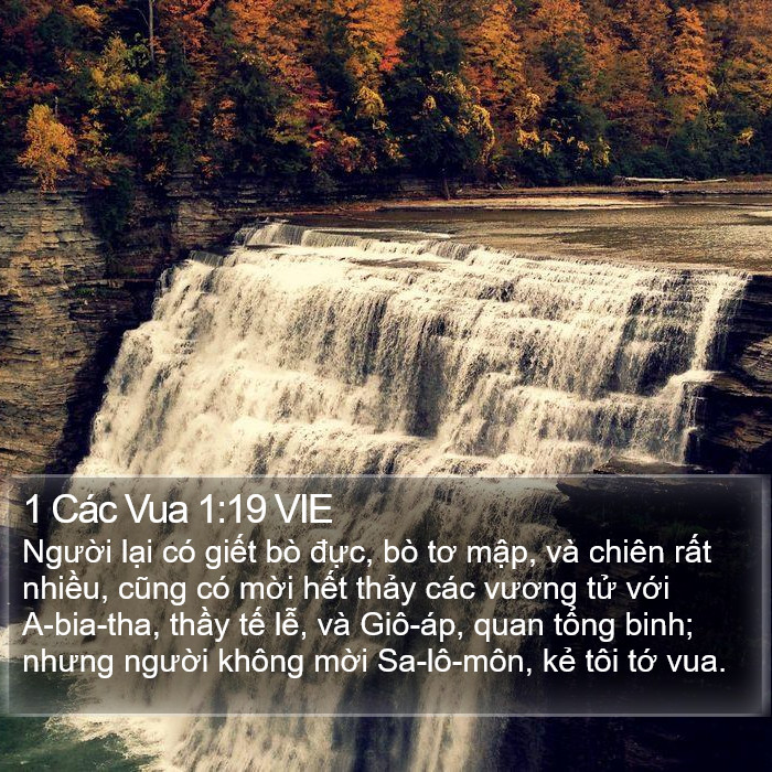 1 Các Vua 1:19 VIE Bible Study