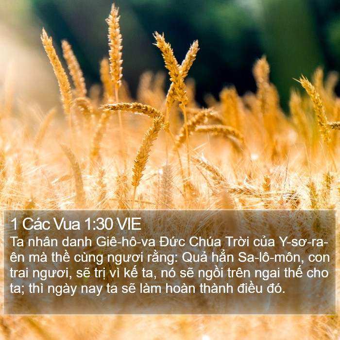 1 Các Vua 1:30 VIE Bible Study