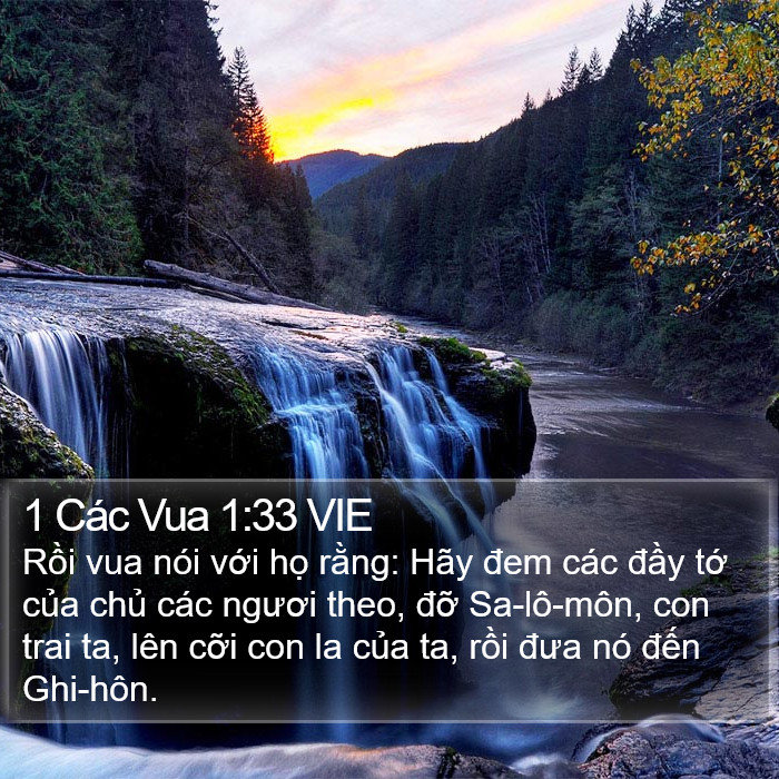 1 Các Vua 1:33 VIE Bible Study