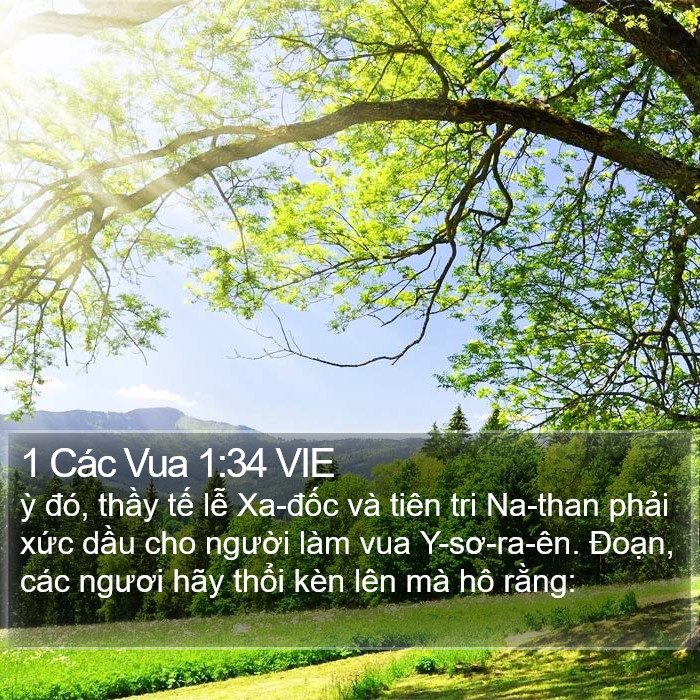 1 Các Vua 1:34 VIE Bible Study