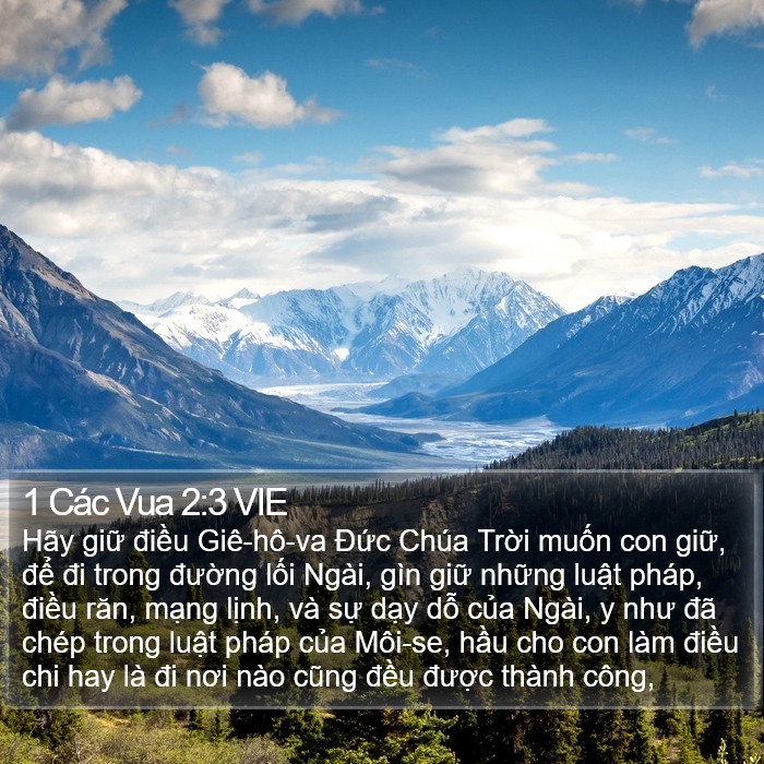 1 Các Vua 2:3 VIE Bible Study