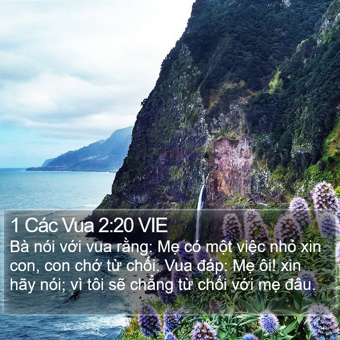 1 Các Vua 2:20 VIE Bible Study