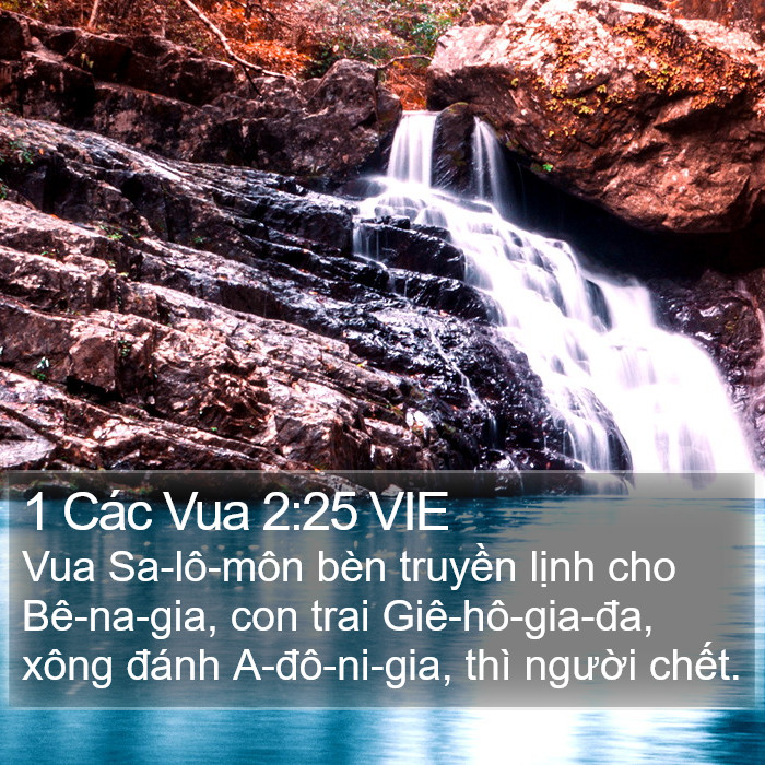 1 Các Vua 2:25 VIE Bible Study
