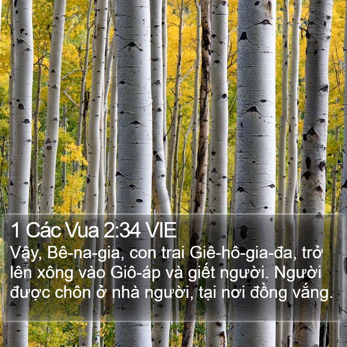 1 Các Vua 2:34 VIE Bible Study