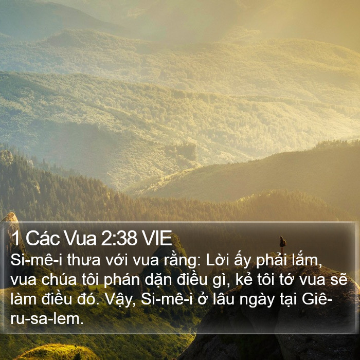 1 Các Vua 2:38 VIE Bible Study