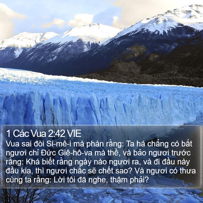 1 Các Vua 2:42 VIE Bible Study