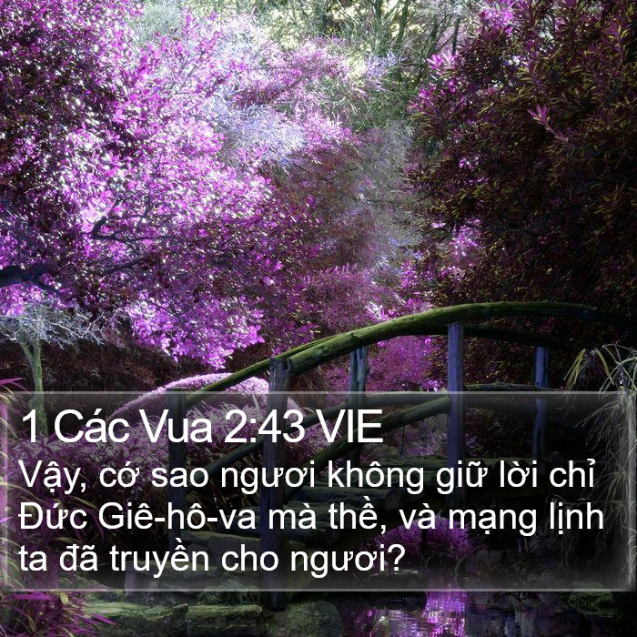 1 Các Vua 2:43 VIE Bible Study