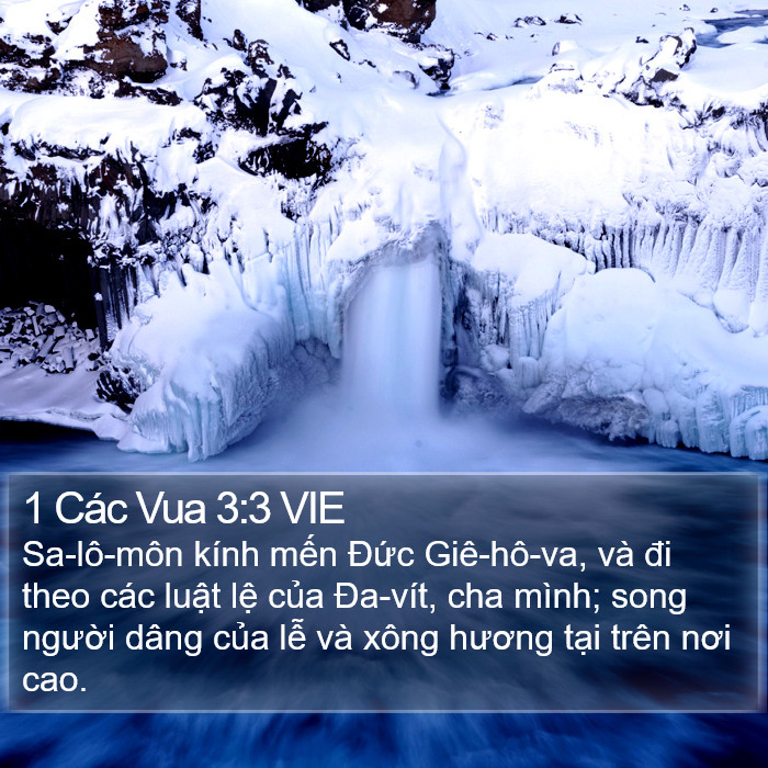 1 Các Vua 3:3 VIE Bible Study