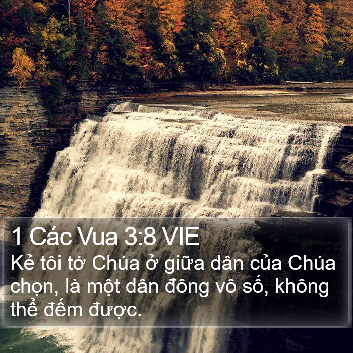 1 Các Vua 3:8 VIE Bible Study