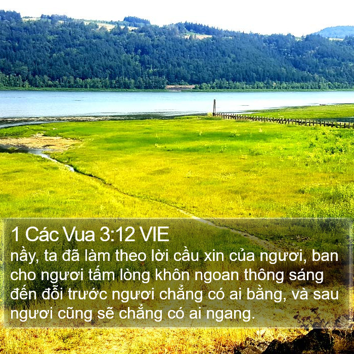 1 Các Vua 3:12 VIE Bible Study