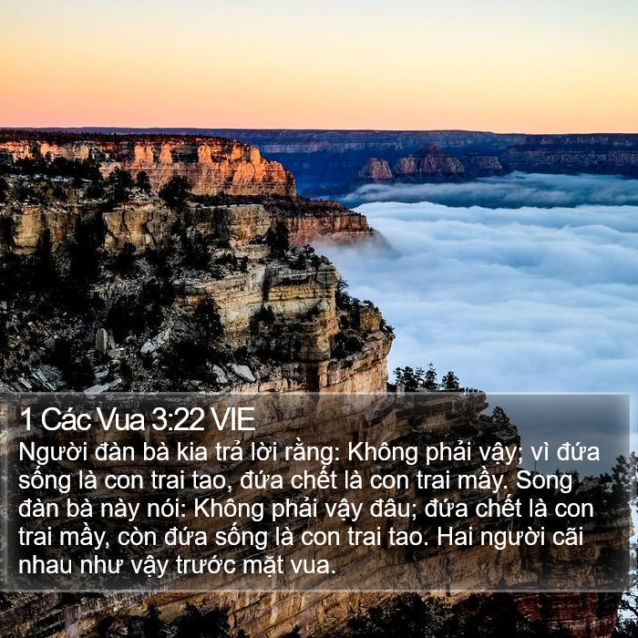 1 Các Vua 3:22 VIE Bible Study