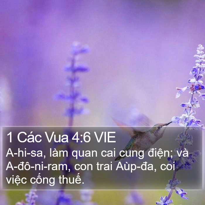 1 Các Vua 4:6 VIE Bible Study