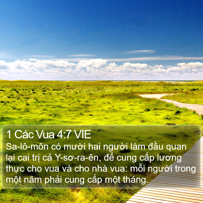 1 Các Vua 4:7 VIE Bible Study