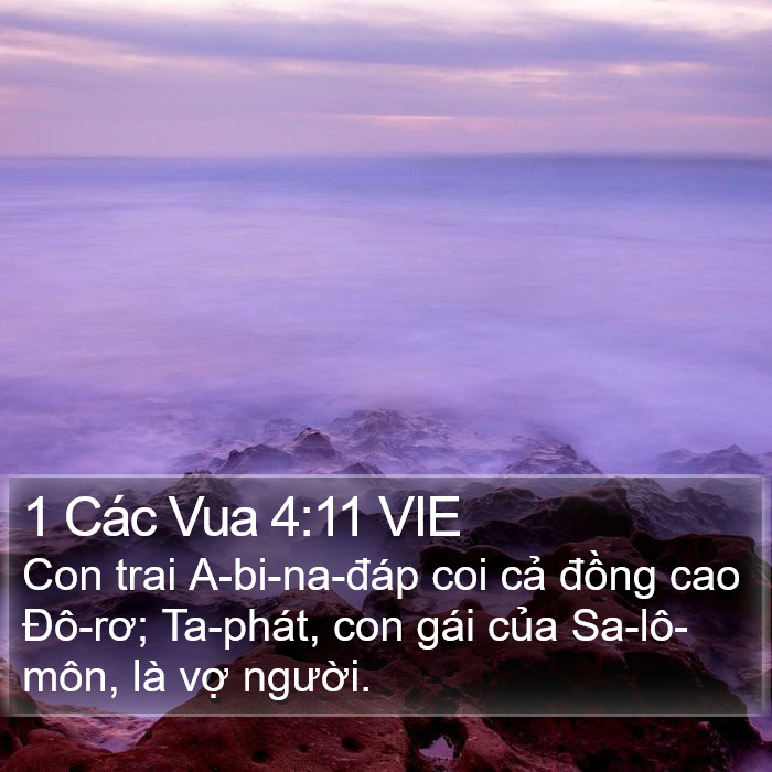 1 Các Vua 4:11 VIE Bible Study