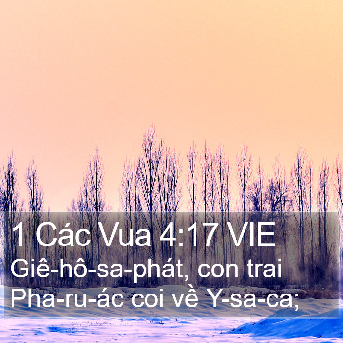 1 Các Vua 4:17 VIE Bible Study