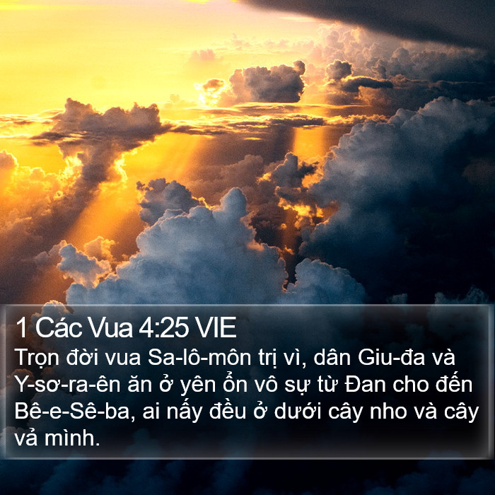 1 Các Vua 4:25 VIE Bible Study