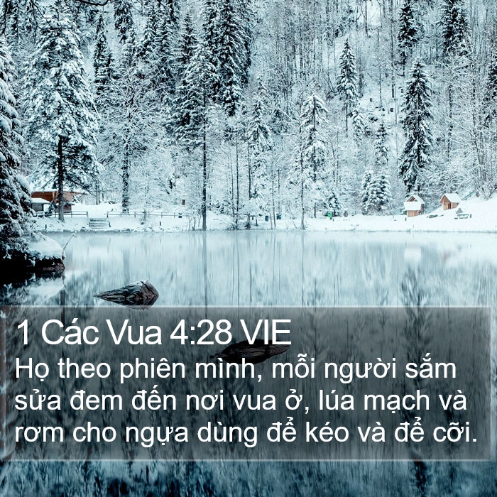 1 Các Vua 4:28 VIE Bible Study