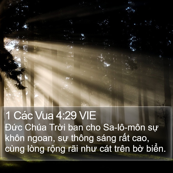 1 Các Vua 4:29 VIE Bible Study