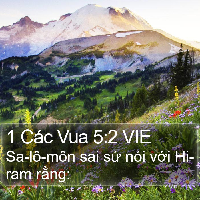 1 Các Vua 5:2 VIE Bible Study