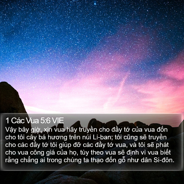 1 Các Vua 5:6 VIE Bible Study