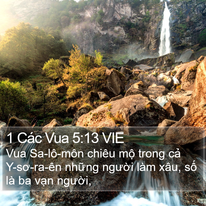 1 Các Vua 5:13 VIE Bible Study