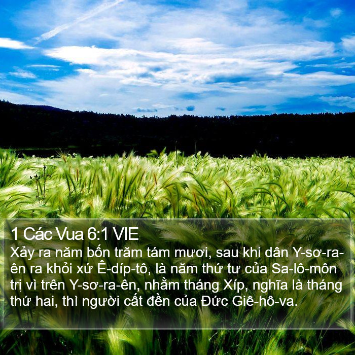 1 Các Vua 6:1 VIE Bible Study