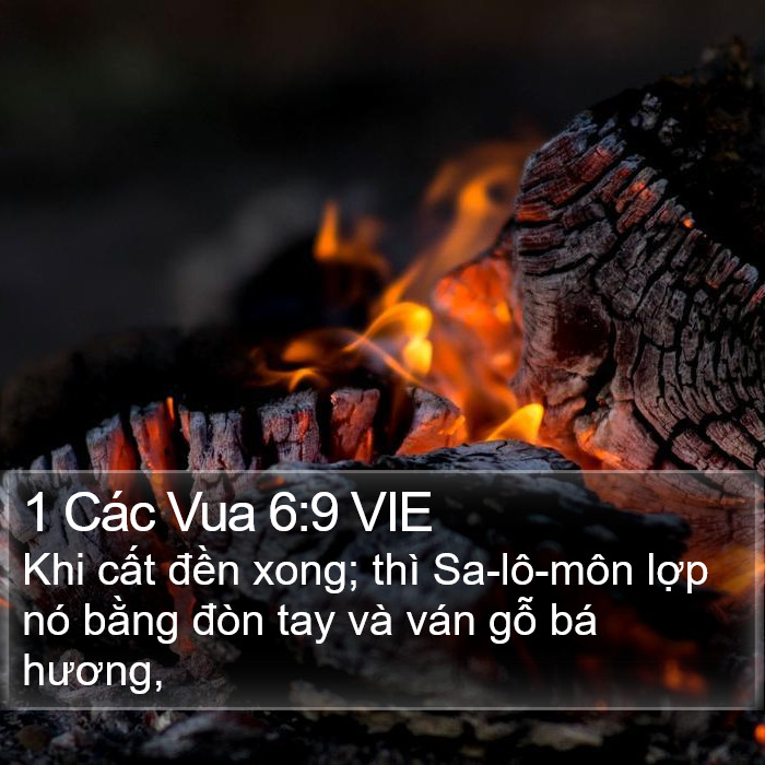 1 Các Vua 6:9 VIE Bible Study