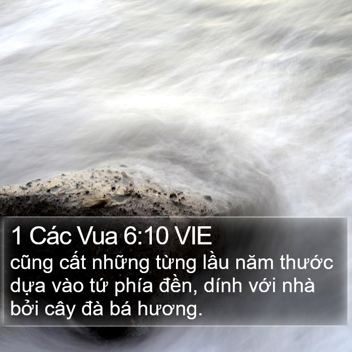 1 Các Vua 6:10 VIE Bible Study