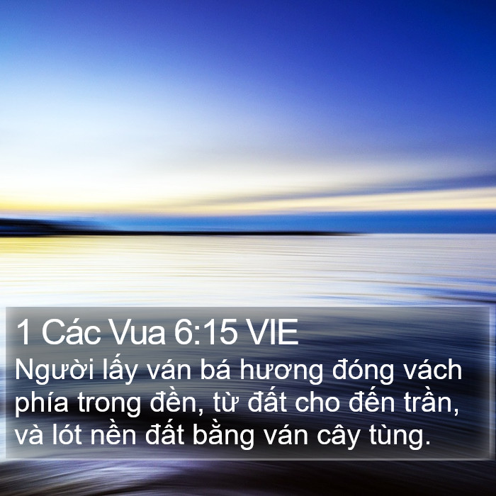 1 Các Vua 6:15 VIE Bible Study