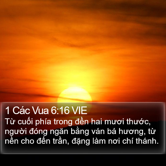 1 Các Vua 6:16 VIE Bible Study