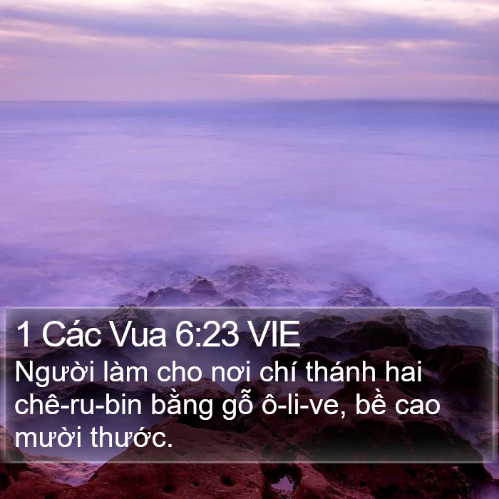 1 Các Vua 6:23 VIE Bible Study