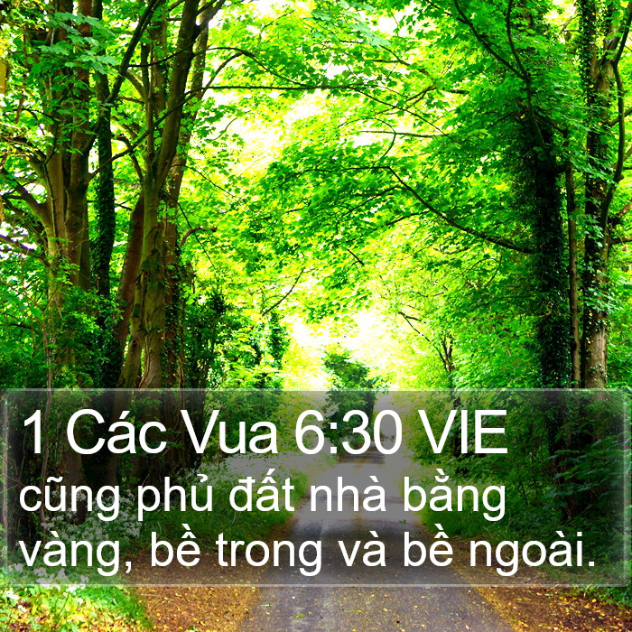 1 Các Vua 6:30 VIE Bible Study