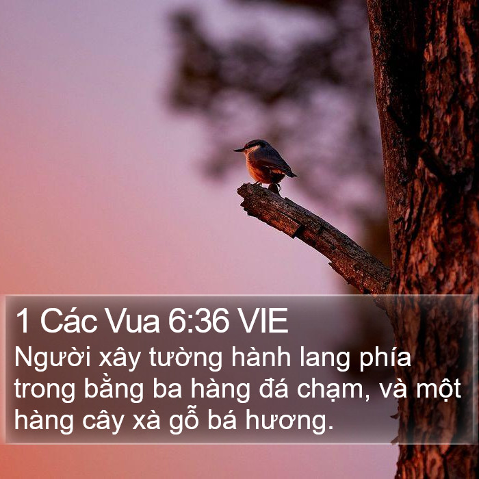 1 Các Vua 6:36 VIE Bible Study