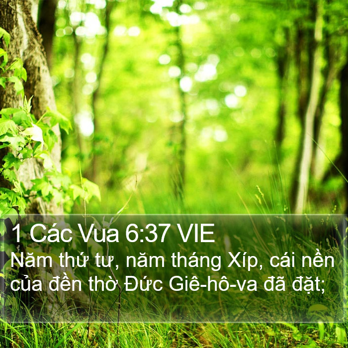 1 Các Vua 6:37 VIE Bible Study