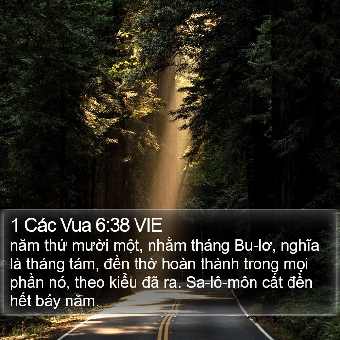 1 Các Vua 6:38 VIE Bible Study