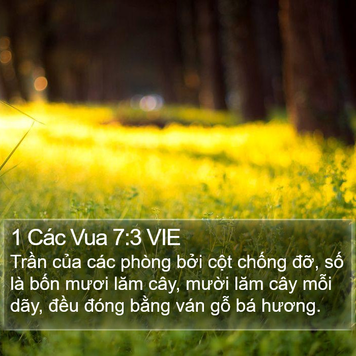 1 Các Vua 7:3 VIE Bible Study